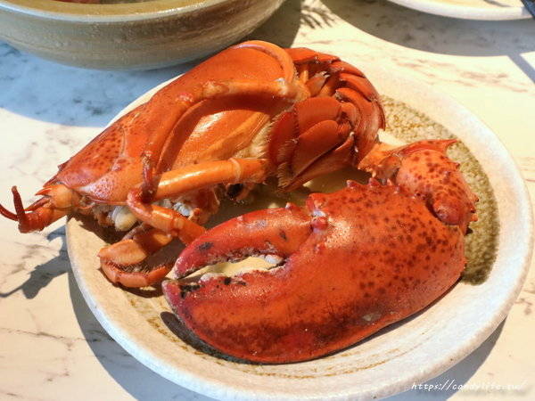 源鍋精緻鍋物:台中美食│源鍋〃活體海鮮鍋一人獨享,鮮味指數大爆表!激推麻油系列~