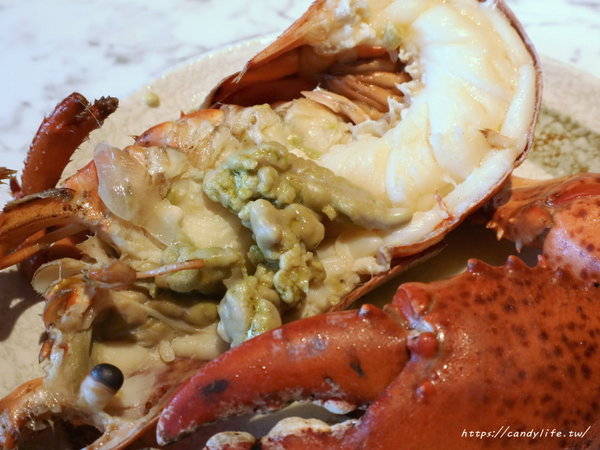 源鍋精緻鍋物:台中美食│源鍋〃活體海鮮鍋一人獨享,鮮味指數大爆表!激推麻油系列~