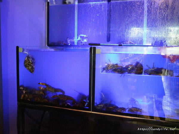 源鍋精緻鍋物:台中美食│源鍋〃活體海鮮鍋一人獨享,鮮味指數大爆表!激推麻油系列~