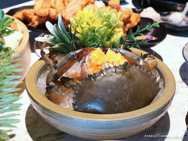 源鍋精緻鍋物:台中美食│源鍋〃活體海鮮鍋一人獨享,鮮味指數大爆表!激推麻油系列~