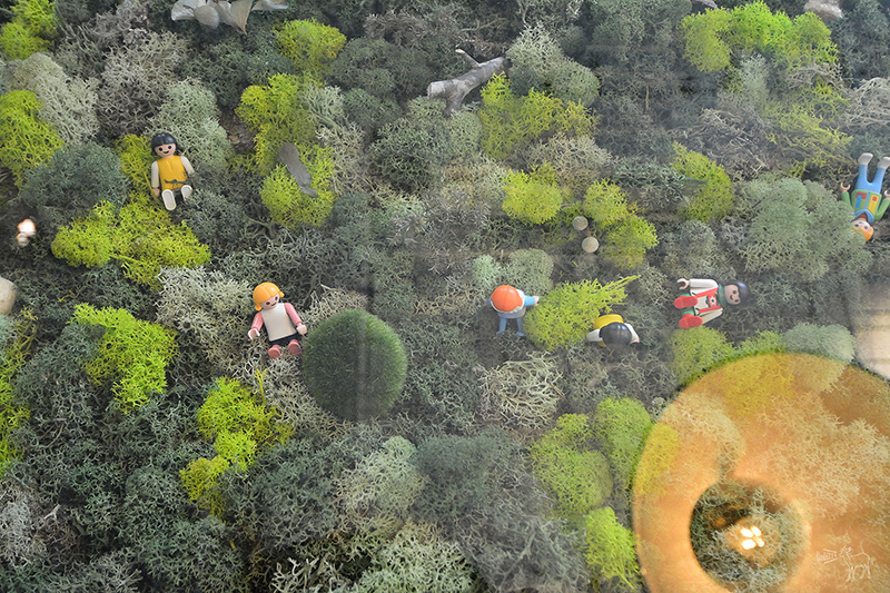 Cafe de Gear:古董洋房美好氛圍咖啡館,台北捷運中正紀念堂站