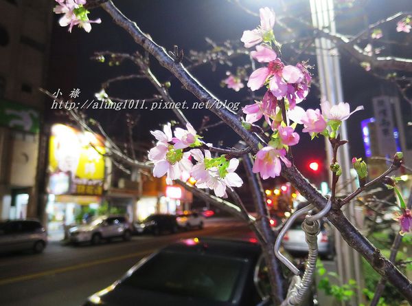 日夕洋食屋：蛋包飯專賣..    日夕洋食屋/愛評體驗團