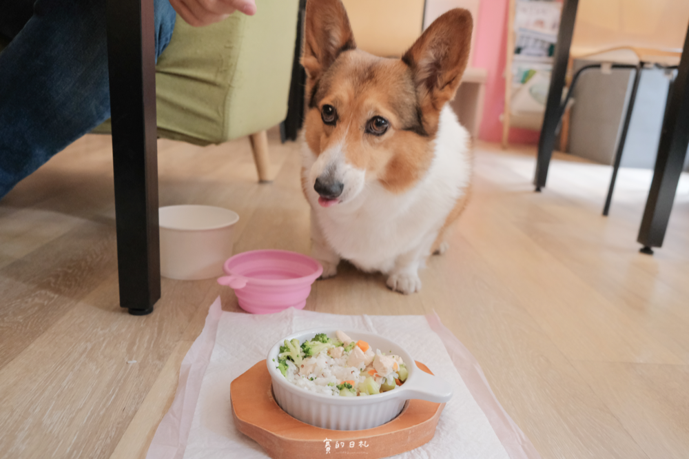 森林小徑文心店 台中美食 台中北屯區餐廳 親子友善 親子餐廳 台中寵物餐廳推薦 寵物友善餐廳 賽的日札_-20.png