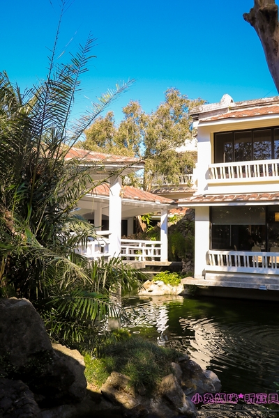 蔣府宴 Chiang Fu Yan:【桃園♥美食】☼蔣府宴Chiang Fu Yan☼如同在小型博物館用餐,精緻江浙菜,道道皆是功夫菜,令人一嚐難忘的好滋味♥♥