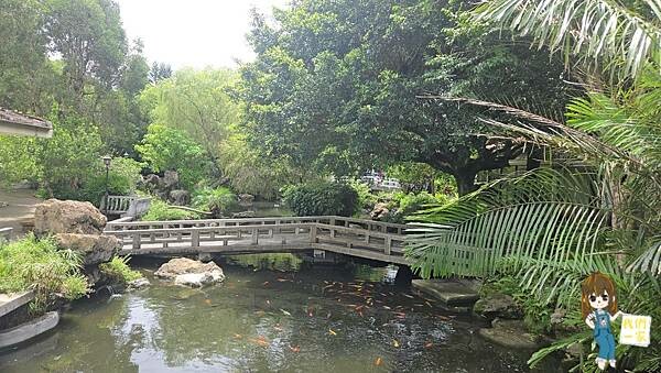 桃園龍潭古色古香餐廳推薦，品味江南庭園中的精緻中式合菜