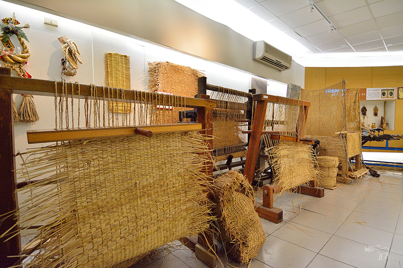 宜蘭冬山河一日遊-推薦新打卡景點:冬山火車站,冬山河生態綠舟,珍珠社區好食光食堂美食,中山社區綠野茶園採茶體驗