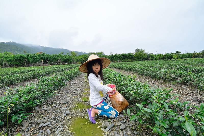宜蘭冬山河一日遊-推薦新打卡景點:冬山火車站,冬山河生態綠舟,珍珠社區好食光食堂美食,中山社區綠野茶園採茶體驗