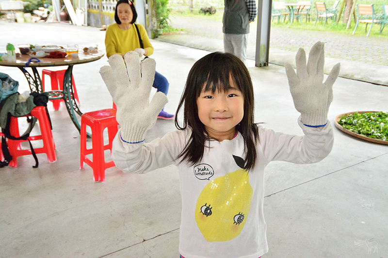 宜蘭冬山河一日遊-推薦新打卡景點:冬山火車站,冬山河生態綠舟,珍珠社區好食光食堂美食,中山社區綠野茶園採茶體驗