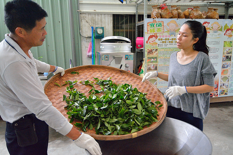 宜蘭冬山河一日遊-推薦新打卡景點:冬山火車站,冬山河生態綠舟,珍珠社區好食光食堂美食,中山社區綠野茶園採茶體驗