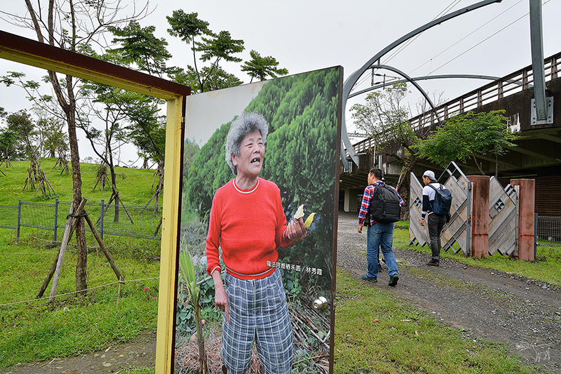 宜蘭冬山河一日遊-推薦新打卡景點:冬山火車站,冬山河生態綠舟,珍珠社區好食光食堂美食,中山社區綠野茶園採茶體驗