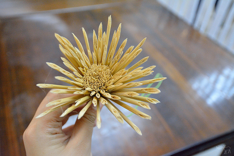 宜蘭冬山河一日遊-推薦新打卡景點:冬山火車站,冬山河生態綠舟,珍珠社區好食光食堂美食,中山社區綠野茶園採茶體驗