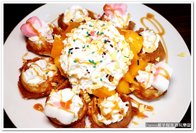 『桃園市』Venus cafe(維納斯咖啡館)●複合式咖啡館提供中式簡餐早午餐/有寵物出沒的餐廳/義大利麵/焗烤燉飯/鍋物/毛小孩餐廳