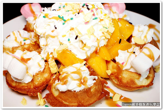 『桃園市』Venus cafe(維納斯咖啡館)●複合式咖啡館提供中式簡餐早午餐/有寵物出沒的餐廳/義大利麵/焗烤燉飯/鍋物/毛小孩餐廳