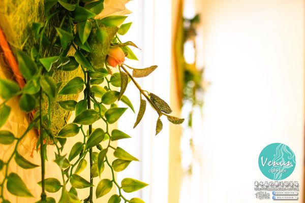 Venus cafe(維納斯咖啡)|桃園市/桃園區  (希臘氛圍，客製化咖啡拉花；中西餐點“維納斯”通通都有)