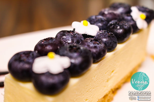 Venus cafe(維納斯咖啡)|桃園市/桃園區  (希臘氛圍，客製化咖啡拉花；中西餐點“維納斯”通通都有)