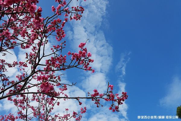 【苗栗/銅鑼】環保公園