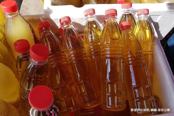 【苗栗/銅鑼】環保公園