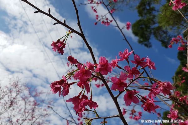 【苗栗/銅鑼】環保公園