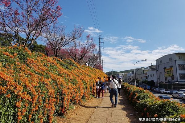 【苗栗/銅鑼】環保公園