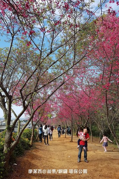 【苗栗/銅鑼】環保公園