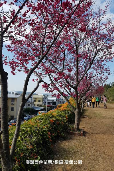 【苗栗/銅鑼】環保公園