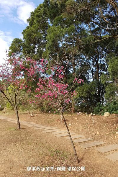 【苗栗/銅鑼】環保公園