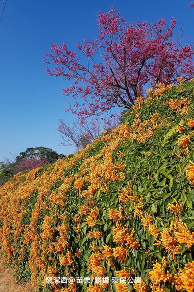 【苗栗/銅鑼】環保公園