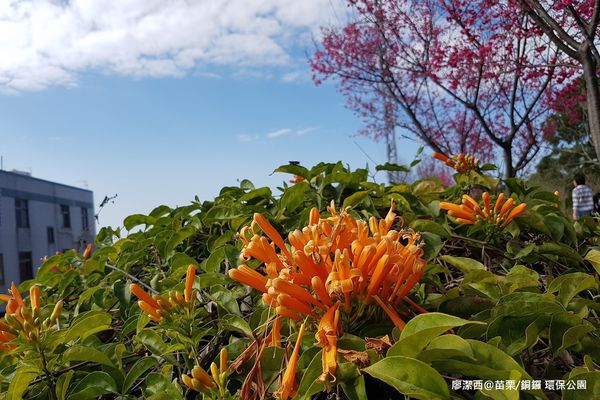 【苗栗/銅鑼】環保公園