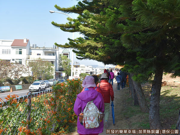 銅鑼環保公園10-林蔭步道.JPG