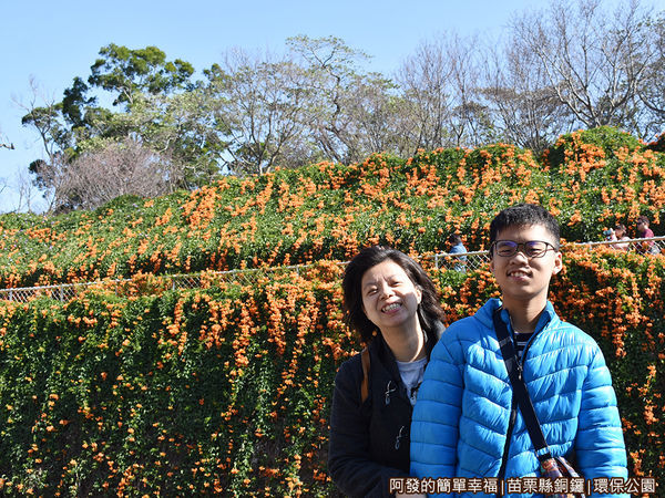 銅鑼環保公園05-兩層炮仗花瀑布前留影.JPG