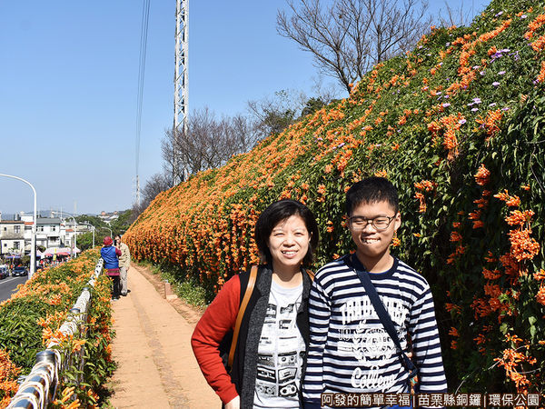 銅鑼環保公園21-炮仗花步道留影.JPG