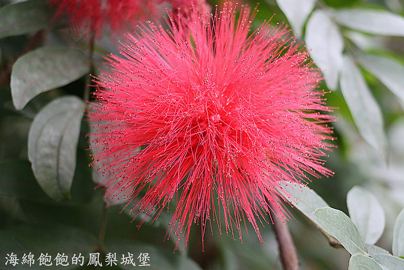 Gramercy Bistro 餐酒館(永康店)