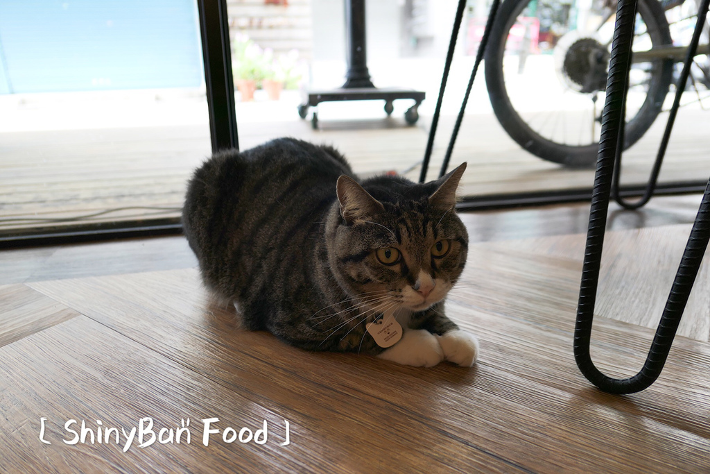 033C9BC4-0B73-4939-8C83-44BE576F3B1E.jpeg 033C9BC4-0B73-4939-8C83-44BE576F3B1E.jpeg