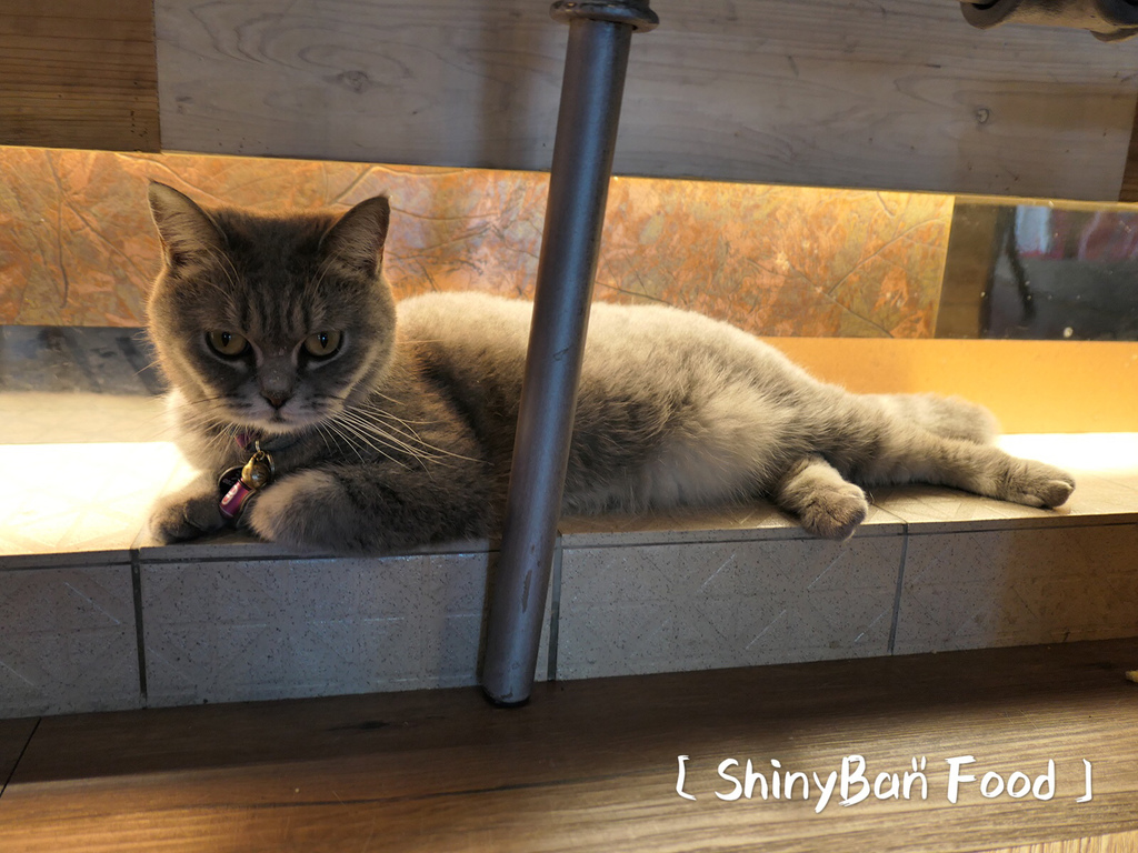 A31C6864-4030-4156-BA72-80999EB9BC80.jpeg A31C6864-4030-4156-BA72-80999EB9BC80.jpeg