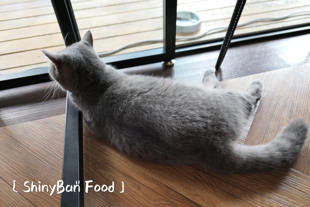 C17C353F-0D3F-4222-B43E-582945C6C567.jpeg C17C353F-0D3F-4222-B43E-582945C6C567.jpeg