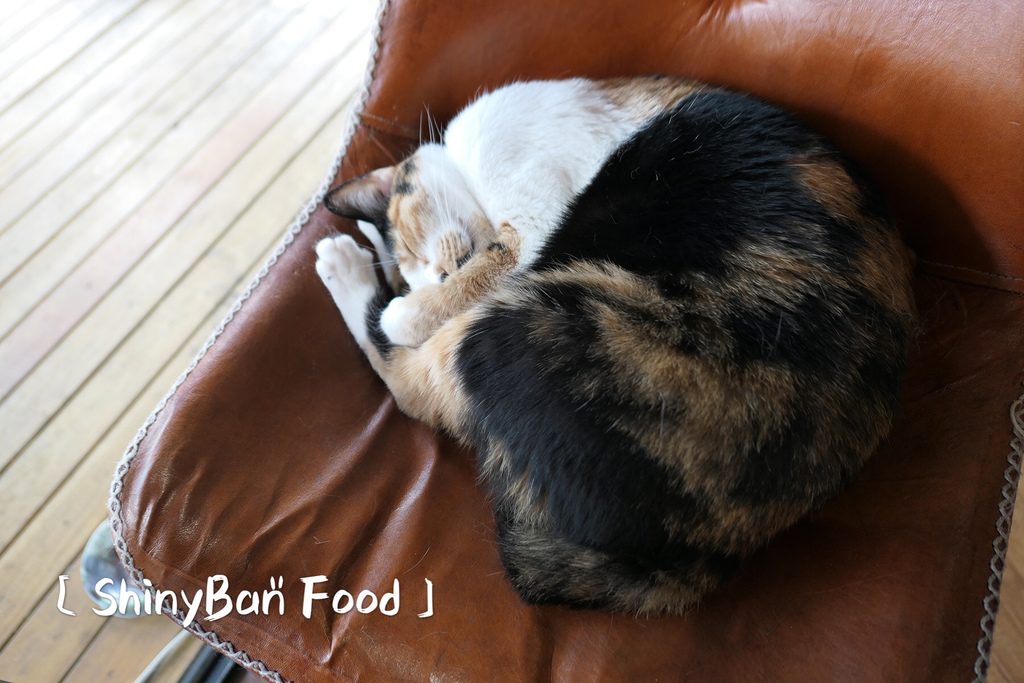 4FFB5F8A-3318-40AB-94A0-BC5727A309DE.jpeg 4FFB5F8A-3318-40AB-94A0-BC5727A309DE.jpeg