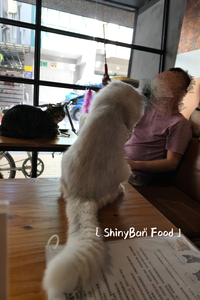 26B0584E-187B-4A13-96EB-1F4890B6FF40.jpeg 26B0584E-187B-4A13-96EB-1F4890B6FF40.jpeg