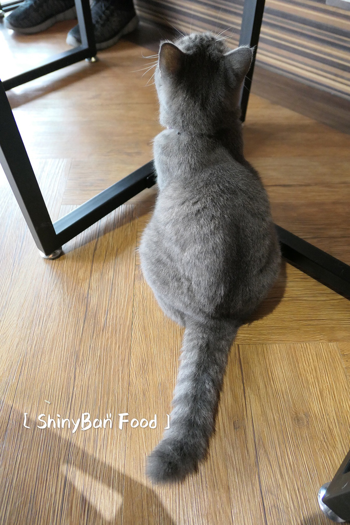 CA01DEB4-4F5A-48D2-AAAA-D62EF4031A9E.jpeg CA01DEB4-4F5A-48D2-AAAA-D62EF4031A9E.jpeg