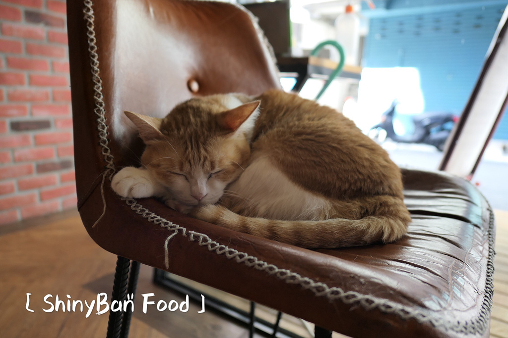 E5C3E7FC-161E-40D6-A6A7-7B979AF08BC7.jpeg E5C3E7FC-161E-40D6-A6A7-7B979AF08BC7.jpeg