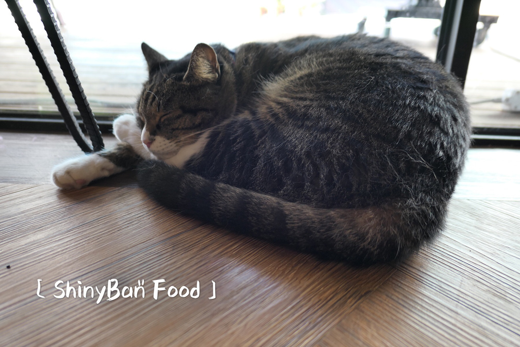 36F1BC56-9D9E-4D3D-AC16-9BC083B1BD10.jpeg 36F1BC56-9D9E-4D3D-AC16-9BC083B1BD10.jpeg