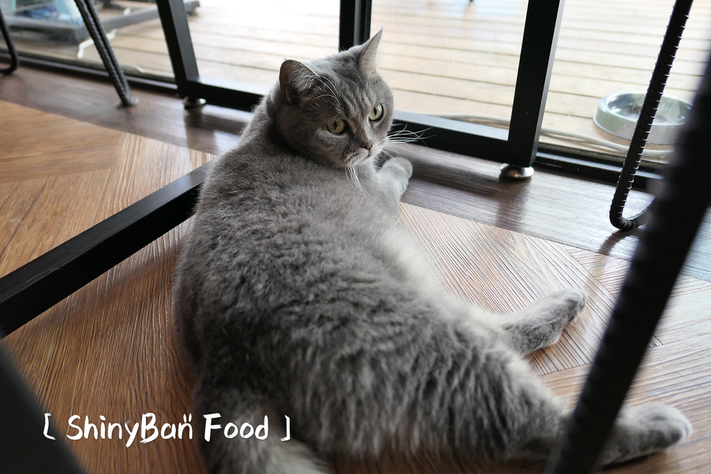 9FEFB489-8297-4BC3-A2A6-3FF7C388C8E1.jpeg 9FEFB489-8297-4BC3-A2A6-3FF7C388C8E1.jpeg