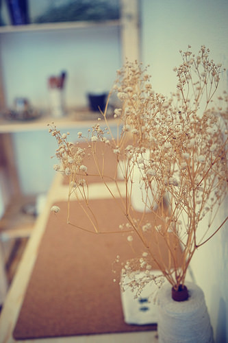 DSC09065_副本 DSC09065_副本