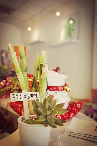 DSC09074_副本 DSC09074_副本