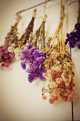 DSC09120_副本 DSC09120_副本