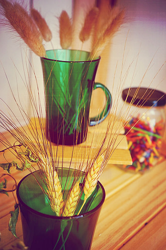 DSC09129_副本 DSC09129_副本