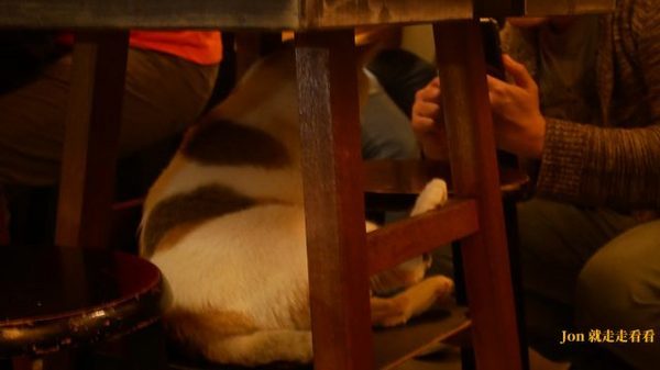 籽田野菜屋：【籽田野菜屋】貓店長坐檯，日式食堂裡的蔬食料理(菜單)