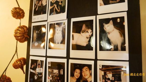 籽田野菜屋：【籽田野菜屋】貓店長坐檯，日式食堂裡的蔬食料理(菜單)