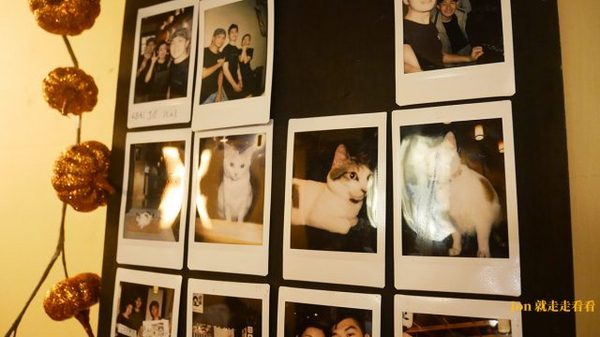 籽田野菜屋：【籽田野菜屋】貓店長坐檯，日式食堂裡的蔬食料理(菜單)