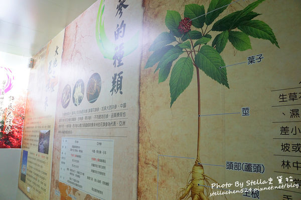 【宜蘭市觀光工廠】短短5分鐘車程就有5間免門票大型觀光工廠★宜蘭/宜蘭景點/宜蘭觀光工廠/宜蘭市景點/宜蘭輕旅行/宜蘭好玩/免門票景點