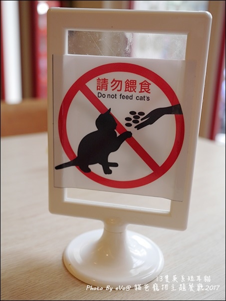 貓爸-10.jpg